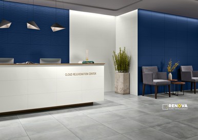 AMPLIFY MATTE WALL TILE G2 12" X 24" - 2