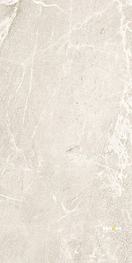 TEMPO MATTE FIELD TILE 12" X 24"