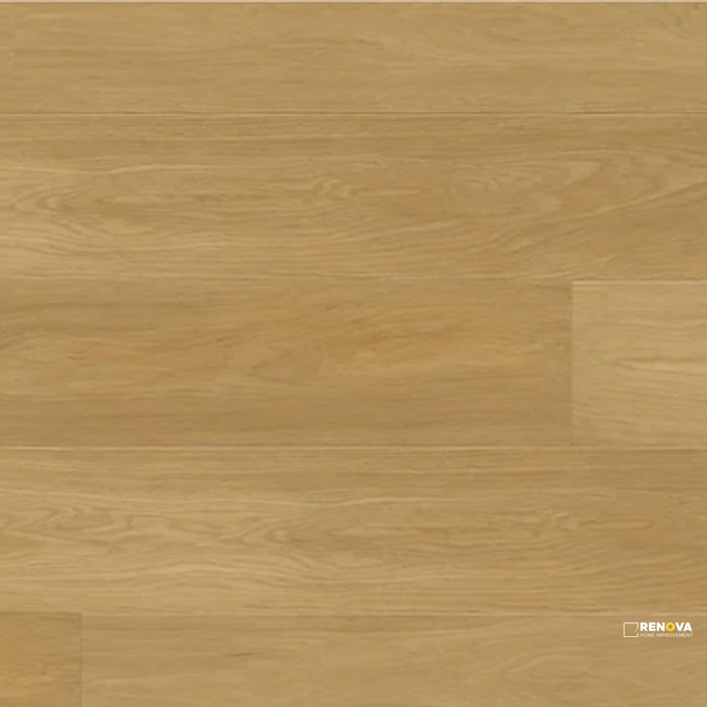 DEEP FOREST XL LSPC 9" X 72" - PURREP477 - 2