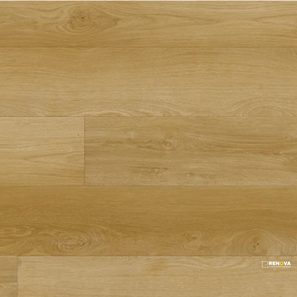 SOUTH ROSE XL LSPC 9" X 60" - PURREP493