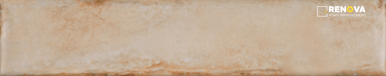 PORTOBELLO ORGANIC CLAY SAND 2X10 FIELD BOLD GLOSSY - 2