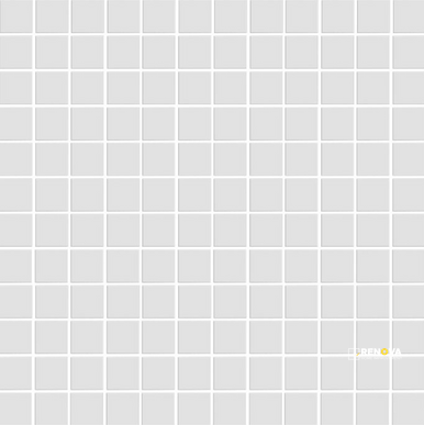 CC MOSAICS MATTE WHITE SQUARE MOSAIC 1X1
