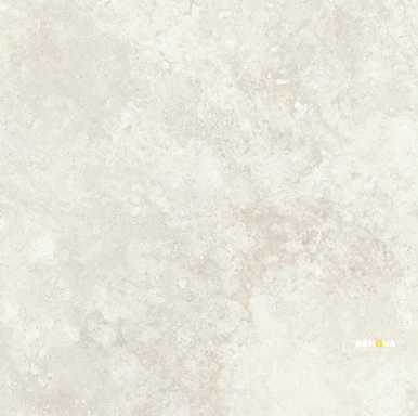 ELYSIAN 24" X 24" - STATIL2179 - 2