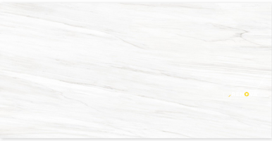 LASSA WHITE MATTE 12" X 24"