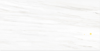 LASSA WHITE MATTE 24" X 48"