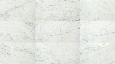 CARRARA ELITE POLISHED 24X24 - 7