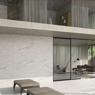 CARRARA ELITE HONED 12X24 - 4