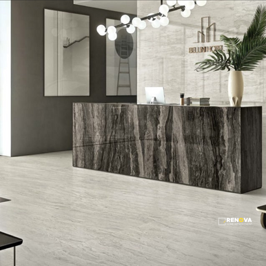 EVOLUTION POLISHED 24X48 - 9