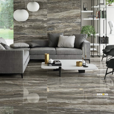 EVOLUTION POLISHED 24X48 - 5
