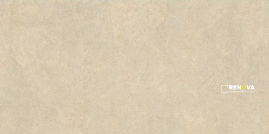 INTENSE RECTIFIED 24" X 48" - ARITI1123 - 2