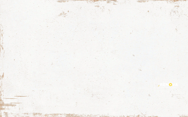 COGENT MATTE 10X16 - 2