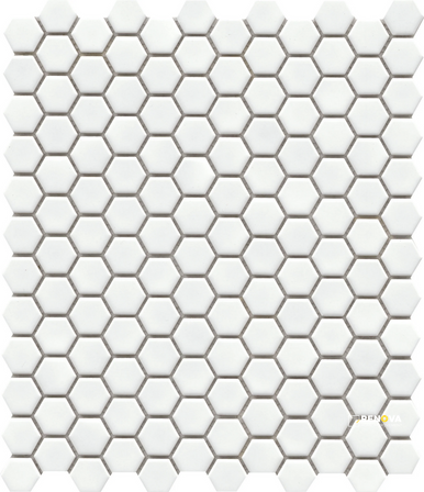 INFLUENCE GLOSS 1IN HEX MOSAIC 10X12 - 2