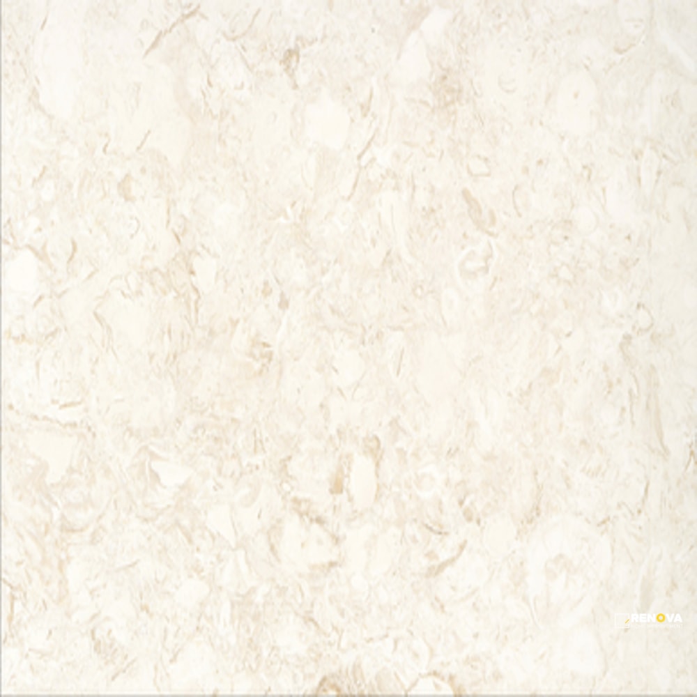 EXTERO SHELL BRUSHED 16X24