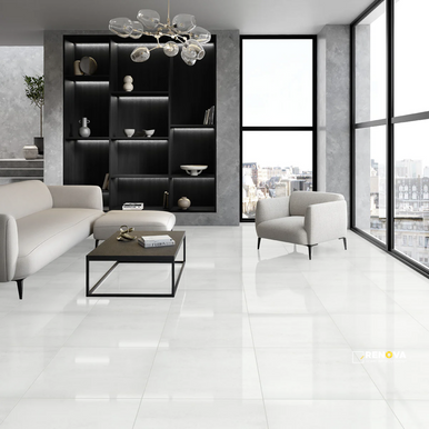 PRODIGY POLISHED 24X24 - 6