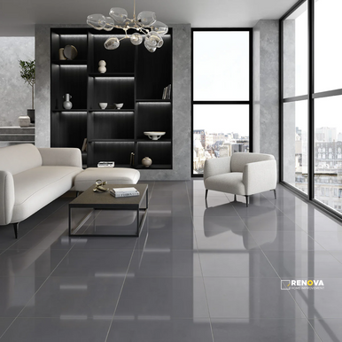 PRODIGY POLISHED 24X24 - 5