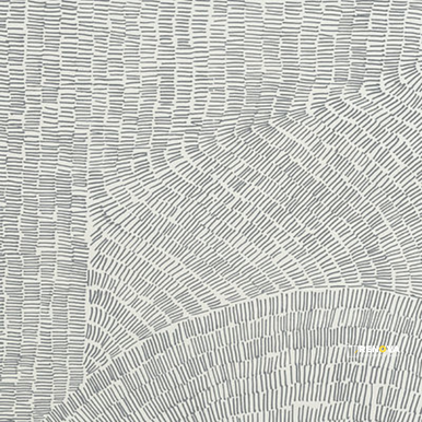 FOSSIL 5-PATTERN RANDOM MIX 24" X 24" - 3
