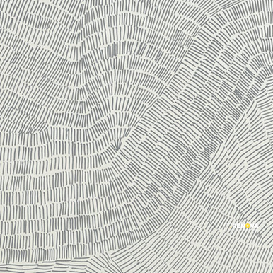 FOSSIL 5-PATTERN RANDOM MIX 24" X 24" - 5