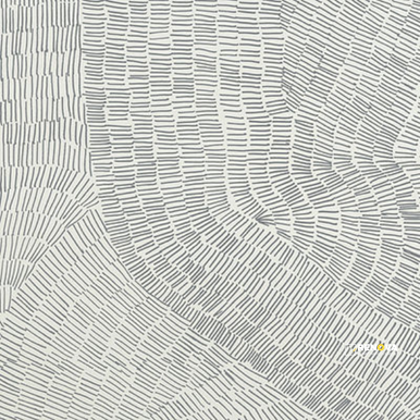 FOSSIL 5-PATTERN RANDOM MIX 24" X 24" - 4