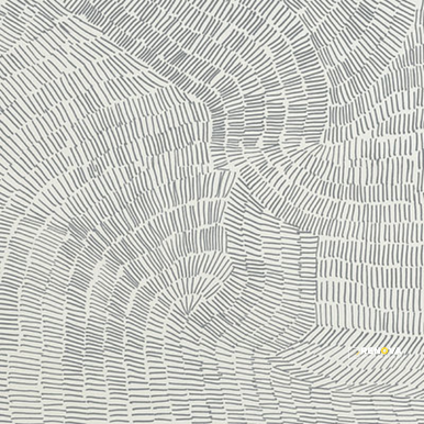 FOSSIL 5-PATTERN RANDOM MIX 24" X 24" - 6