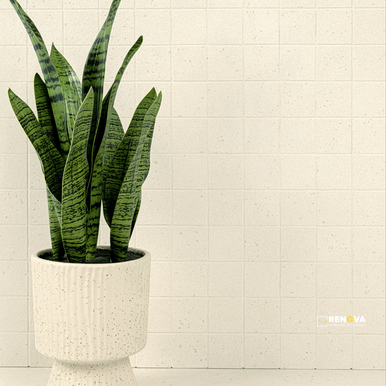ARCHITECTA GLACIER 12X24 MATTE - 6