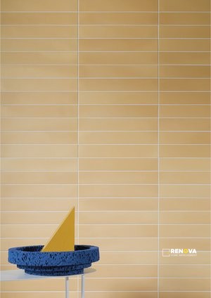 PIGMENTO 2.4" X 14.5" - 6