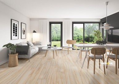 ASPENWOOD ARTIC 9X48 MATTE ( 12 SF PER BOX ) - 2