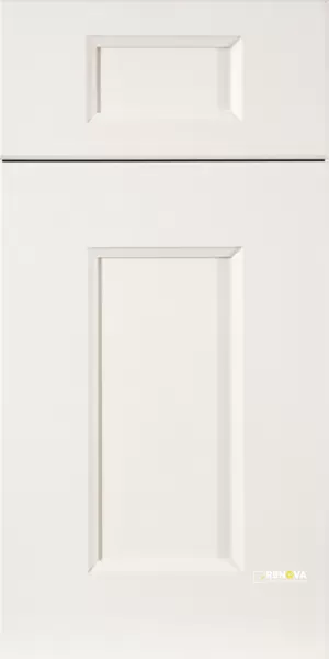 Springfield - DLX - 1900 Series Cabinet Door