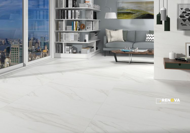EC CALACATTA GOLD MATTE 24" X 24" - ELYTIL1744 - 2
