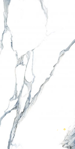 CALACATTA FANTASY ACQUA POLISHED 24" X 48" - 4