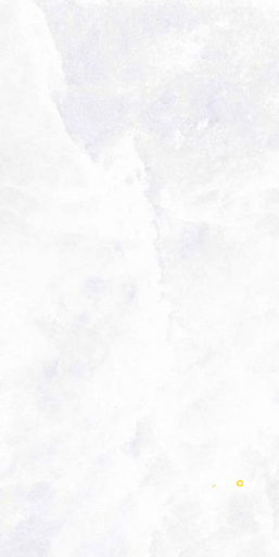 ARCHISALT FLOWER OF SALT LUX 12" X 24" - 6