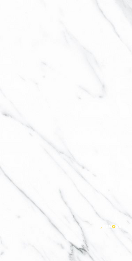 AGL CARRARA POLISHED 12" X 24" - 4