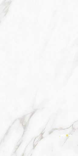 CARENZA BIANCA MATTE 12" X 24" - 5