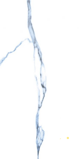 CALACATTA BLUE MATTE 12" X 24" - 2