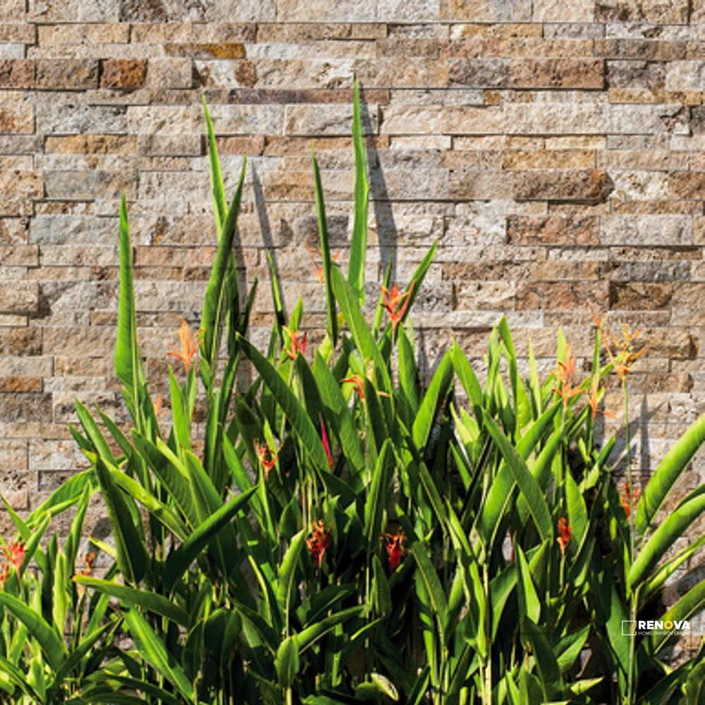 SCABOS SPLIT FACE 3D STACKED STONE 5-7/8" X 24" - 3
