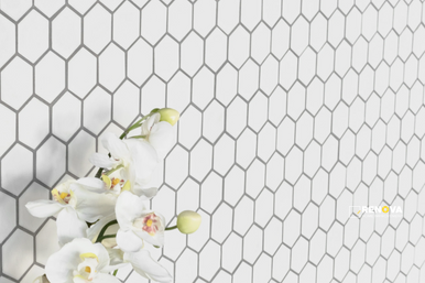LE CAFE MATTE HEXAGON MOSAIC 2" X 2" - 8
