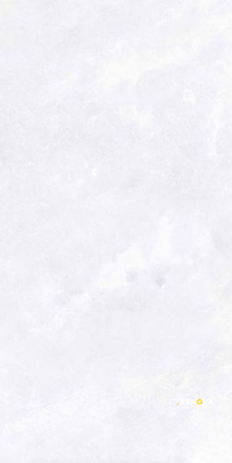 ARCHISALT FLOWER OF SALT LUX 12" X 24" - 3