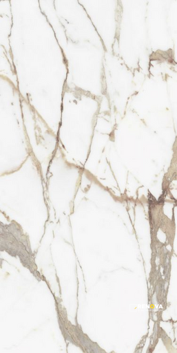 ORIGINES OR MATTE 24" X 48" - 8