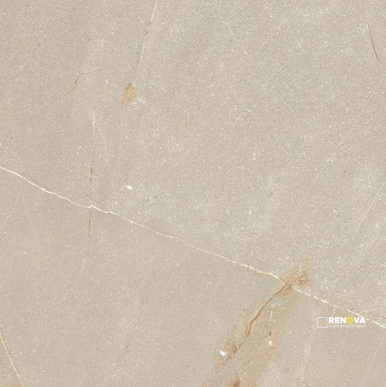 MADISON BONE 24" X 24" - ELYTIL1197 - 6