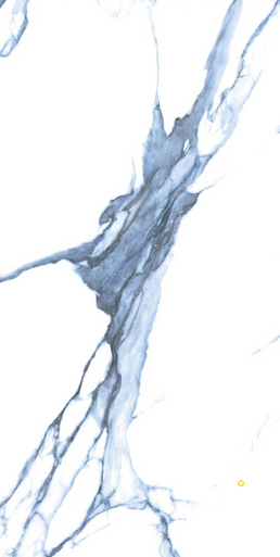 CALACATTA BLUE MATTE 24" X 48" - 5