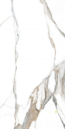 CALACATTA FANTASY TOPO POLISHED 24" X 48" - 3
