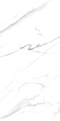 AGL CARRARA MATTE 24" X 48" - ELYTIL2553 - 3