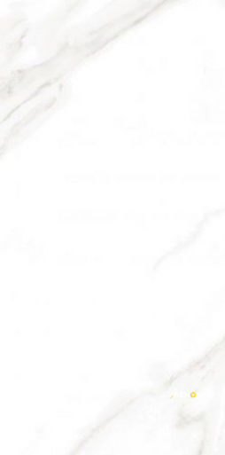 EC CALACATTA GOLD MATTE 12" X 24" - ELYTIL1686 - 3
