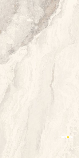 MYSTIC IVORY MATTE 12" X 24" - 2
