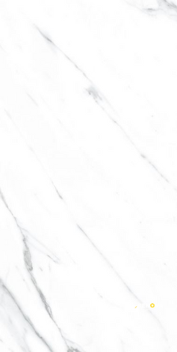 AGL CARRARA POLISHED 12" X 24" - 2