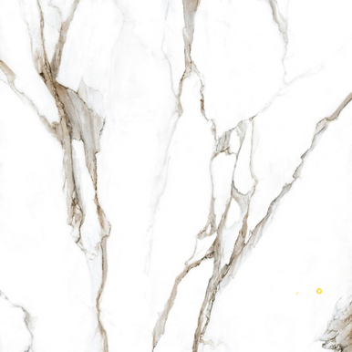 CALACATTA FANTASY TOPO POLISHED 48" X 48" - 2