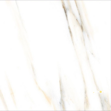 AGL CALACATTA GOLD MATTE 24" X 24" - ELYTIL2566