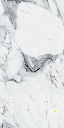 ORIGINES ARGENT MATTE 24" X 48" - 8