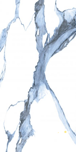 CALACATTA BLUE POLISHED 24" X 48" - 5