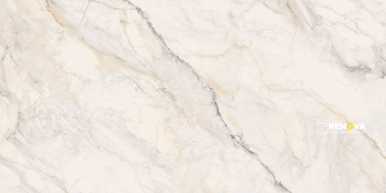 PORTOBELLO APUANO ORO 12X24 FIELD RECTIFIED NATURAL - 9