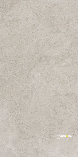 RANIA GRIS MATTE 24" X 48"